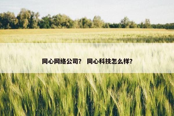 同心网络公司？ 同心科技怎么样？