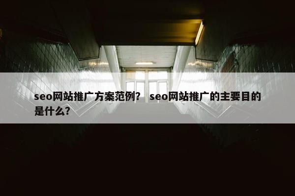 seo网站推广方案范例？ seo网站推广的主要目的是什么？