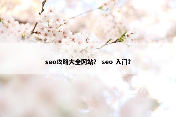 seo攻略大全网站？ seo 入门？