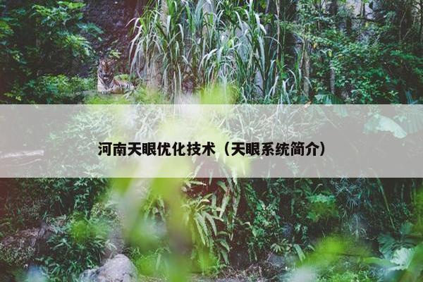 河南天眼优化技术（天眼系统简介）