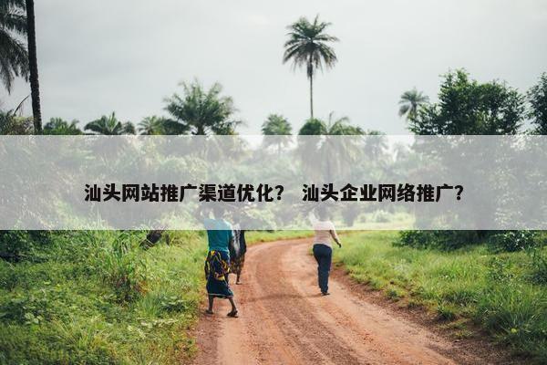 汕头网站推广渠道优化？ 汕头企业网络推广？