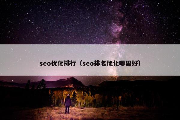 seo优化排行（seo排名优化哪里好）