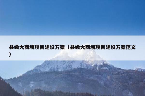 县级大商场项目建设方案（县级大商场项目建设方案范文）