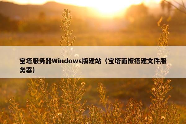 宝塔服务器Windows版建站（宝塔面板搭建文件服务器）