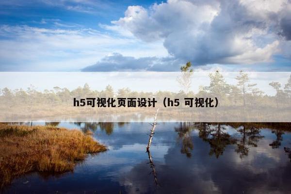 h5可视化页面设计（h5 可视化）