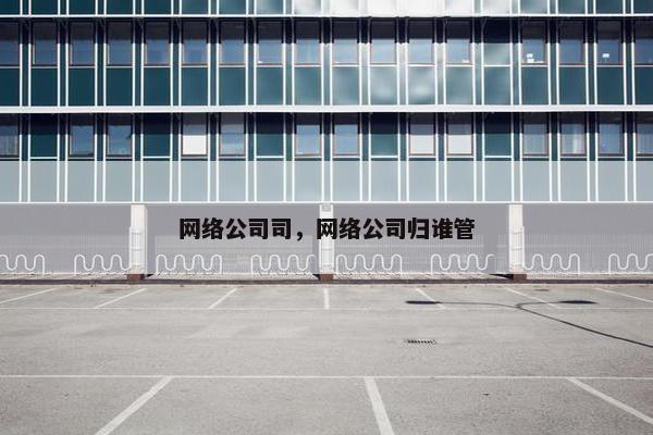网络公司司，网络公司归谁管