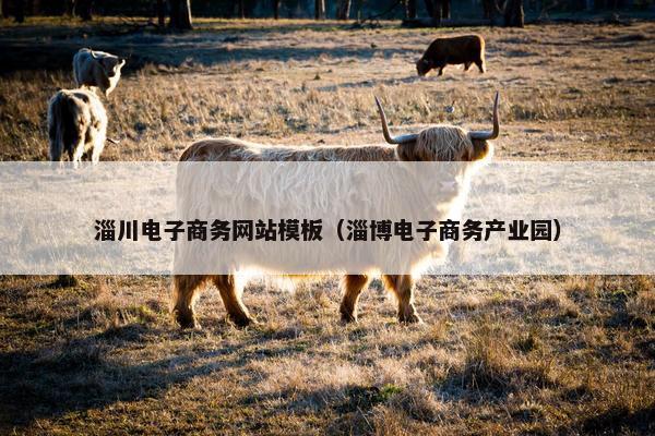 淄川电子商务网站模板（淄博电子商务产业园）