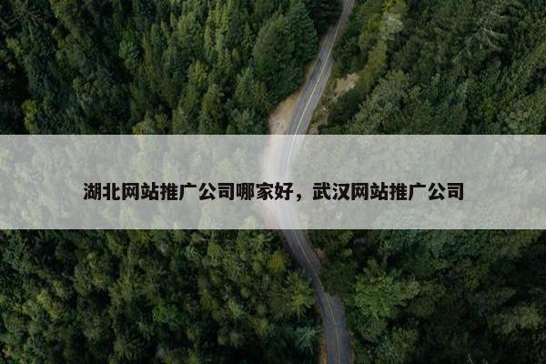 湖北网站推广公司哪家好，武汉网站推广公司