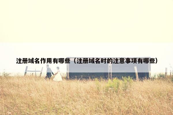 注册域名作用有哪些（注册域名时的注意事项有哪些）