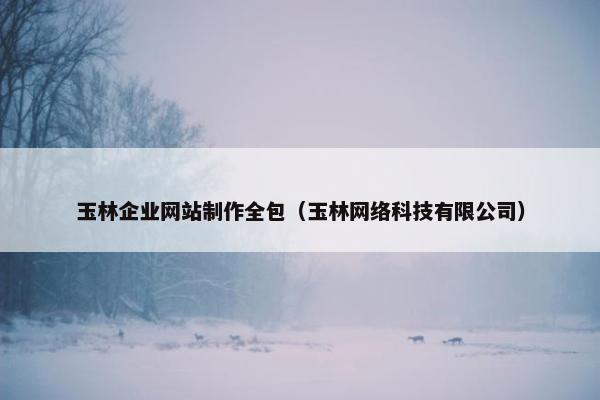 玉林企业网站制作全包（玉林网络科技有限公司）