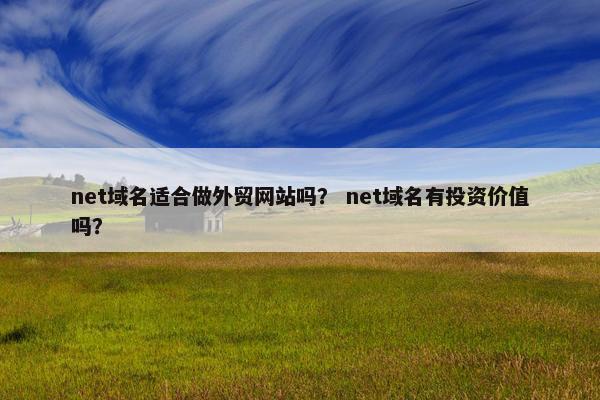 net域名适合做外贸网站吗？ net域名有投资价值吗？