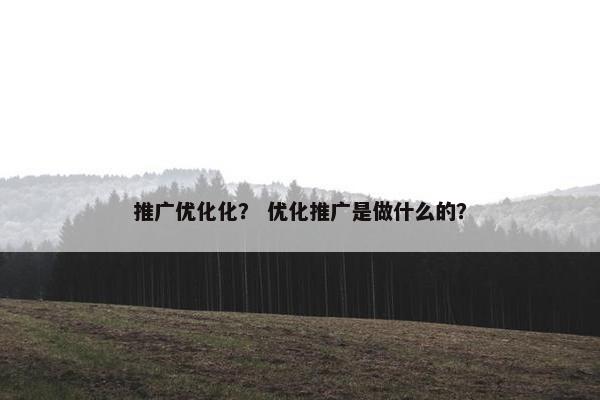 推广优化化？ 优化推广是做什么的？
