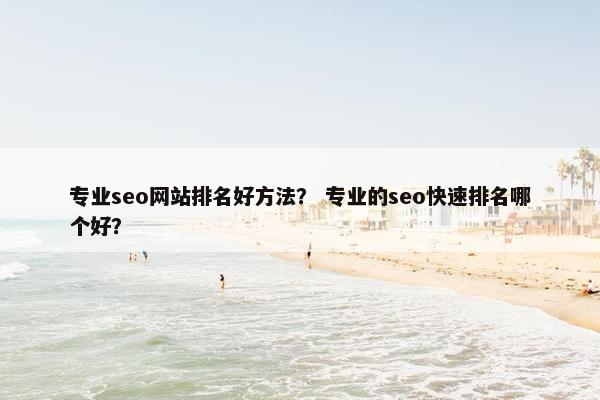 专业seo网站排名好方法？ 专业的seo快速排名哪个好？
