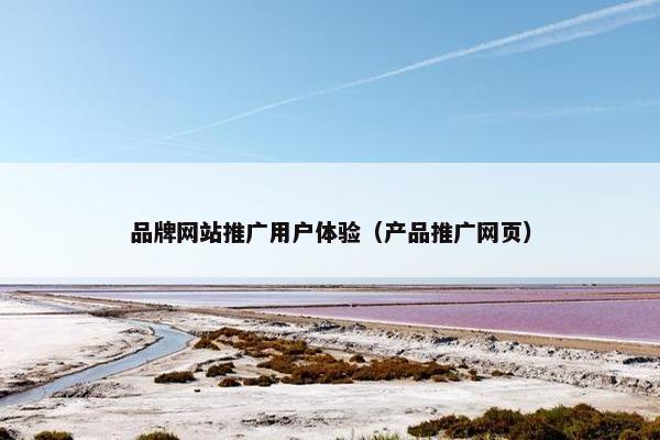 品牌网站推广用户体验（产品推广网页）