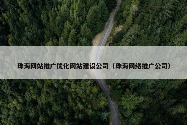 珠海网站推广优化网站建设公司（珠海网络推广公司）