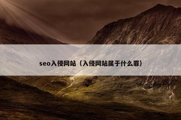 seo入侵网站（入侵网站属于什么罪）