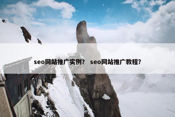 seo网站推广实例？ seo网站推广教程？