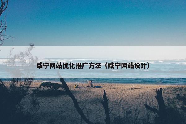 咸宁网站优化推广方法（咸宁网站设计）