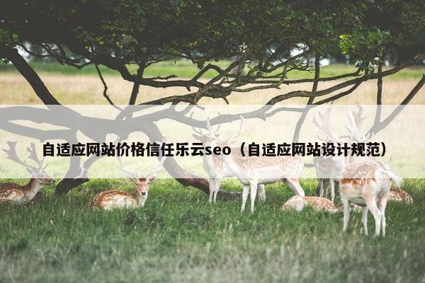 自适应网站价格信任乐云seo（自适应网站设计规范）