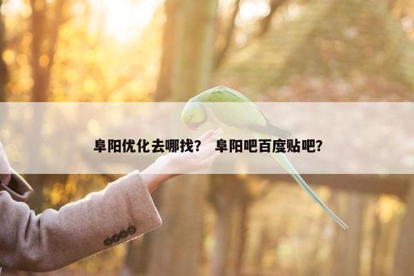 阜阳优化去哪找？ 阜阳吧百度贴吧？