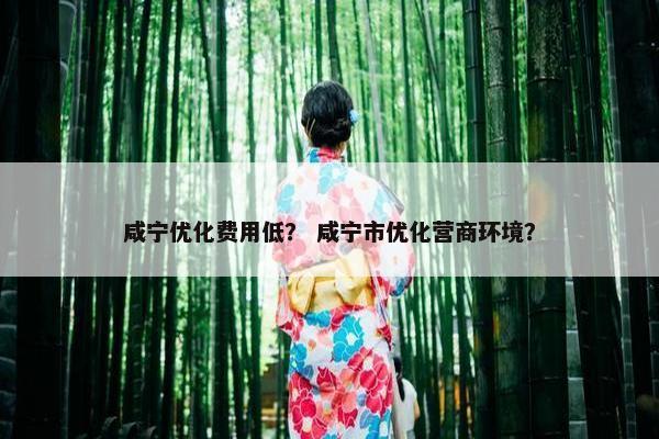咸宁优化费用低？ 咸宁市优化营商环境？