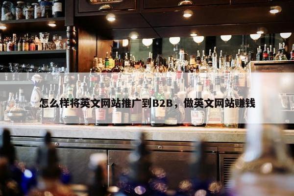 怎么样将英文网站推广到B2B，做英文网站赚钱