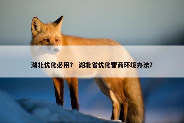 湖北优化必用？ 湖北省优化营商环境办法？