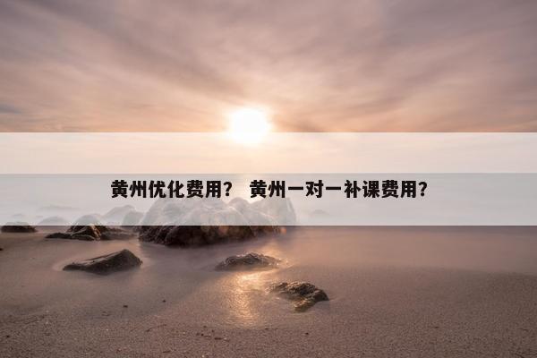 黄州优化费用？ 黄州一对一补课费用？