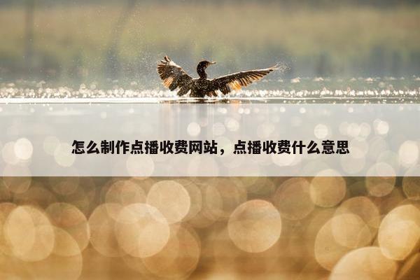 怎么制作点播收费网站，点播收费什么意思