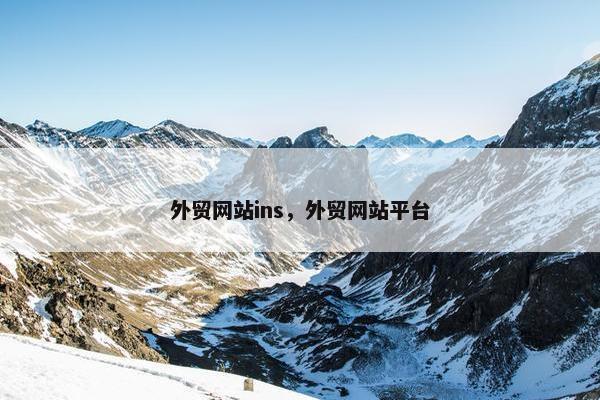 外贸网站ins，外贸网站平台