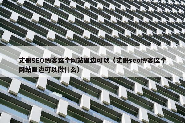 丈哥SEO博客这个网站里边可以（丈哥seo博客这个网站里边可以做什么）