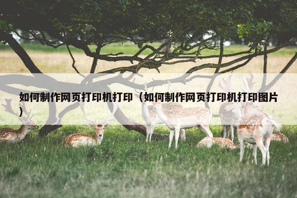 如何制作网页打印机打印（如何制作网页打印机打印图片）