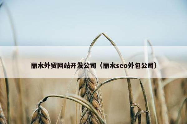丽水外贸网站开发公司（丽水seo外包公司）
