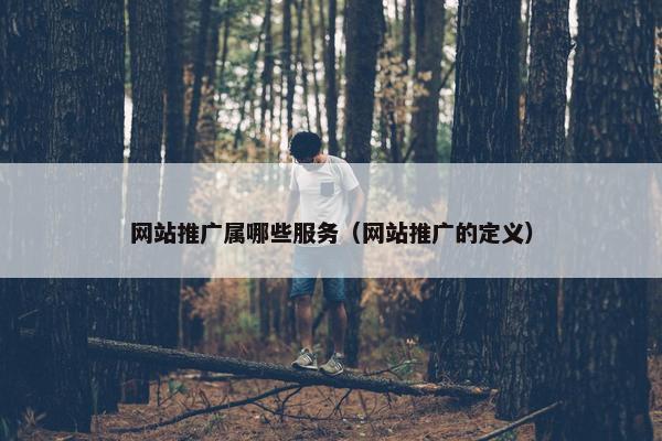 网站推广属哪些服务（网站推广的定义）
