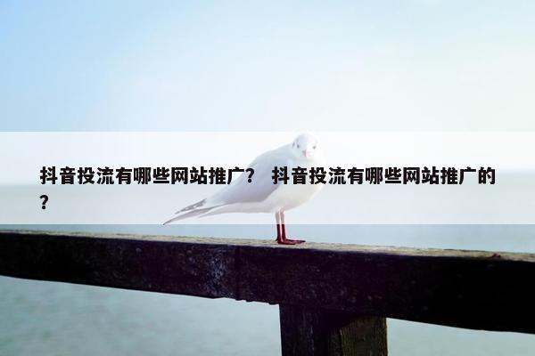 抖音投流有哪些网站推广？ 抖音投流有哪些网站推广的？