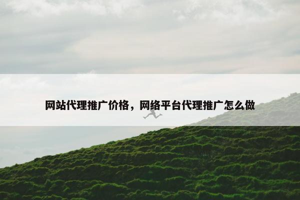 网站代理推广价格，网络平台代理推广怎么做