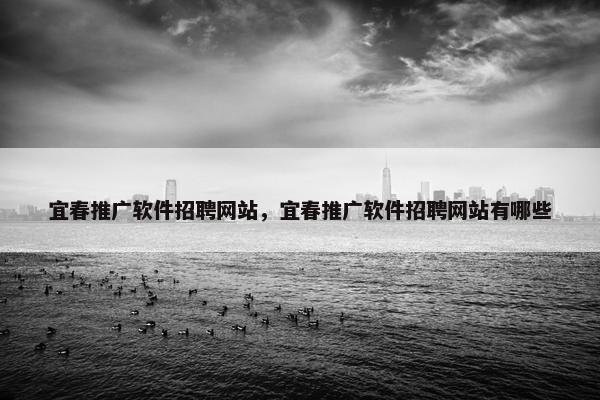 宜春推广软件招聘网站，宜春推广软件招聘网站有哪些