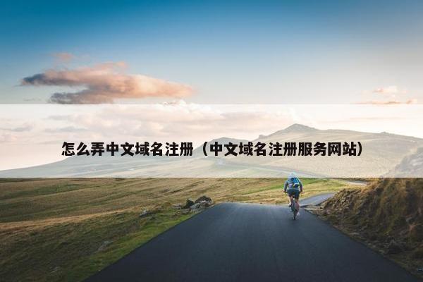 怎么弄中文域名注册（中文域名注册服务网站）