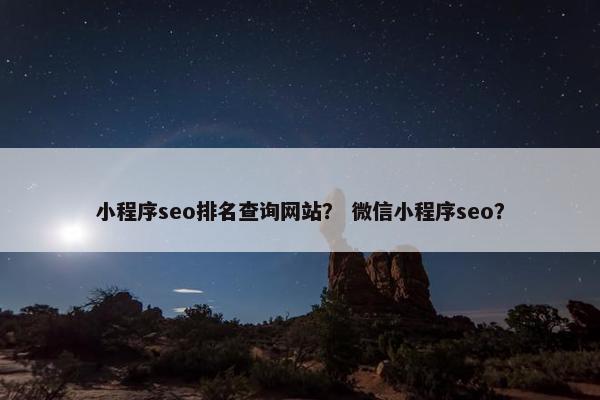 小程序seo排名查询网站？ 微信小程序seo？
