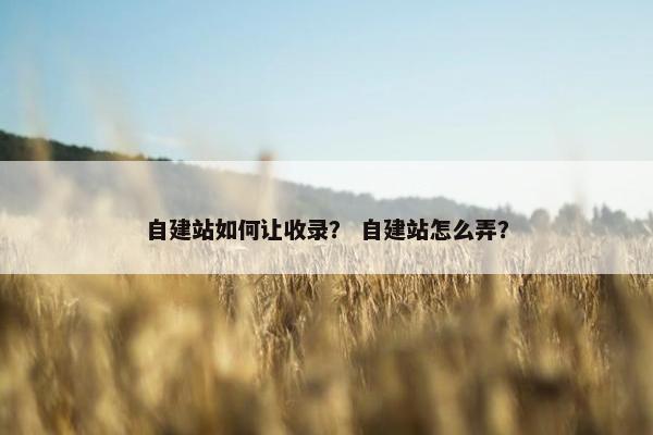 自建站如何让收录？ 自建站怎么弄？