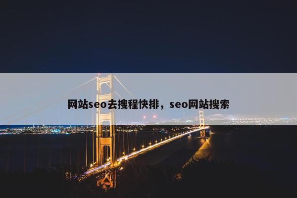 网站seo去搜程快排，seo网站搜索