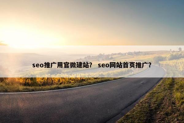 seo推广用官微建站？ seo网站首页推广？