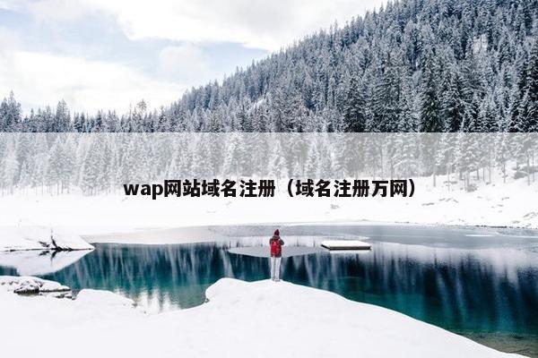 wap网站域名注册（域名注册万网）