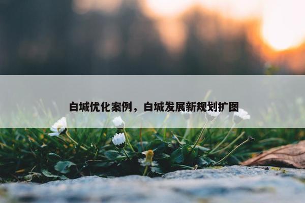 白城优化案例，白城发展新规划扩图