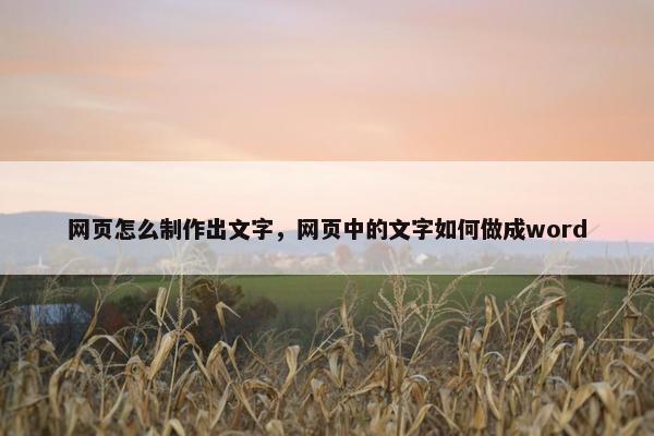 网页怎么制作出文字，网页中的文字如何做成word