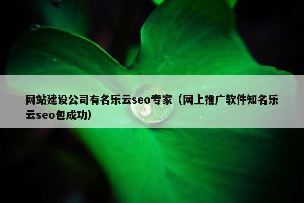 网站建设公司有名乐云seo专家（网上推广软件知名乐云seo包成功）