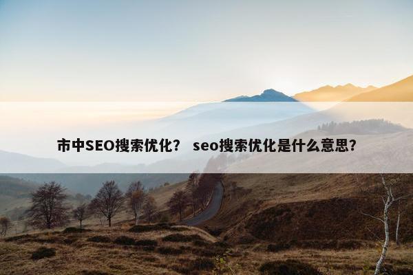 市中SEO搜索优化？ seo搜索优化是什么意思？
