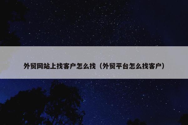 外贸网站上找客户怎么找（外贸平台怎么找客户）