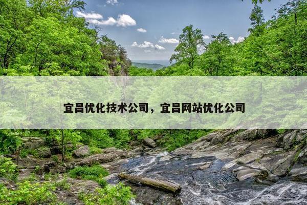 宜昌优化技术公司，宜昌网站优化公司