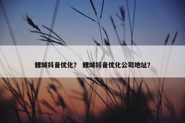 鲤城抖音优化？ 鲤城抖音优化公司地址？